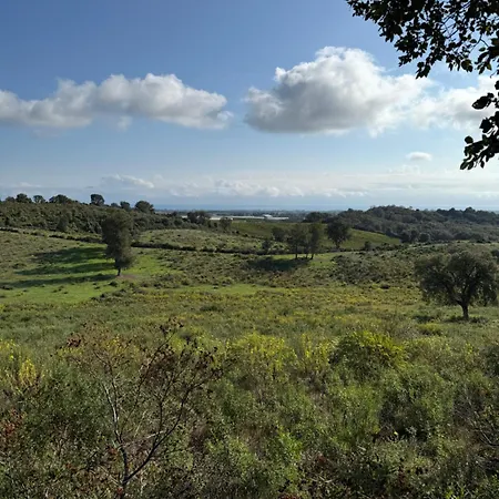 Design Front De Classe 3 Etoiles