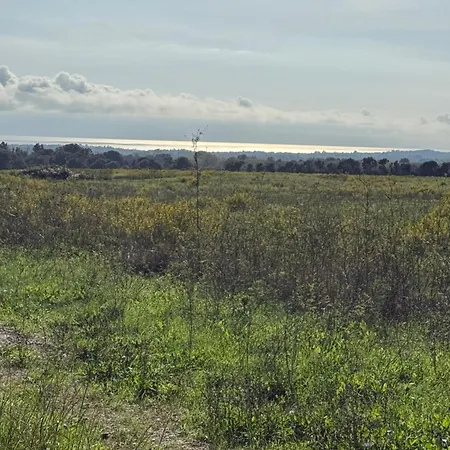 Design Front De Classe 3 Etoiles Apartament