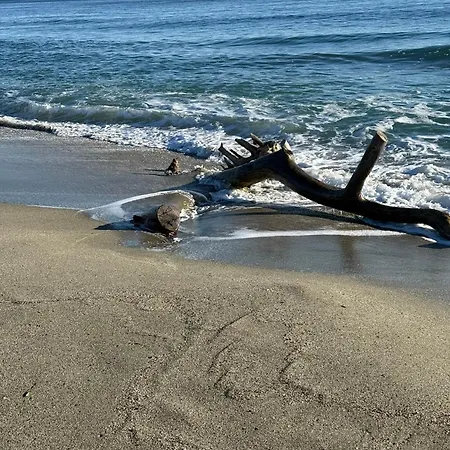 Lägenhet Design Front De Classe 3 Etoiles *