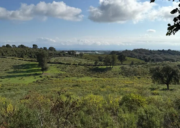 Design Front De Classe 3 Etoiles