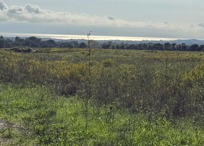 Design Front De Classe 3 Etoiles Daire