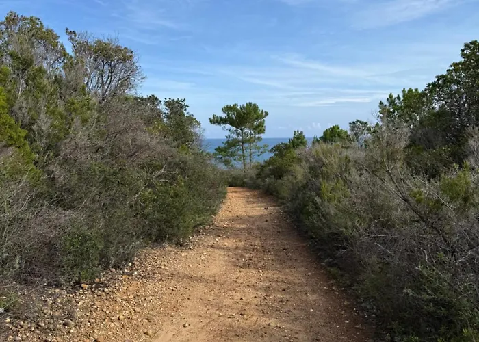 Design Front De Classe 3 Etoiles Daire *