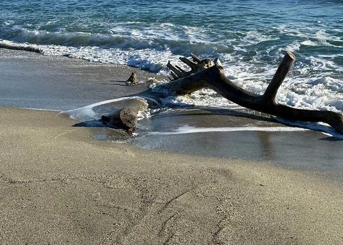 Daire Design Front De Classe 3 Etoiles *